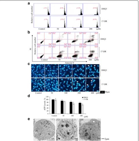 Fig. 2 DHQ3 and 17-DR induced various forms of death in MDA-MB-231 breast cancer cells
