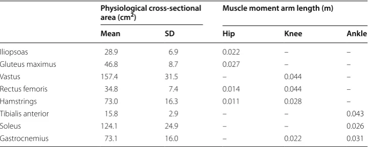 Table 1 Muscle parameters in this study