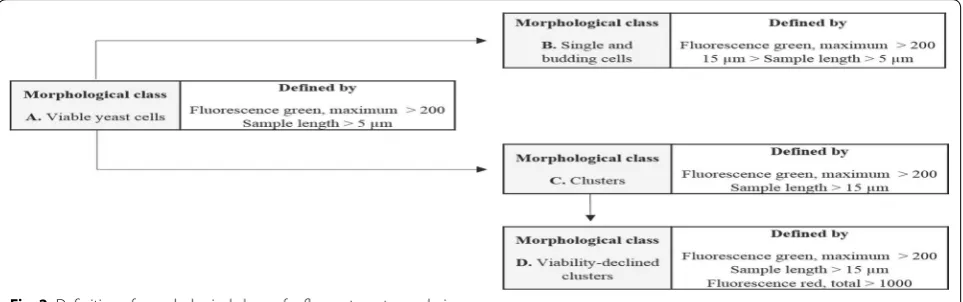 Fig. 2 Definition of morphological classes for flow cytometry analysis