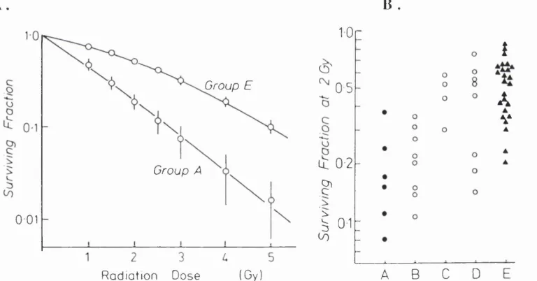 Figure 1.1 A. The initial slope of the cell survival curve, indicated by 