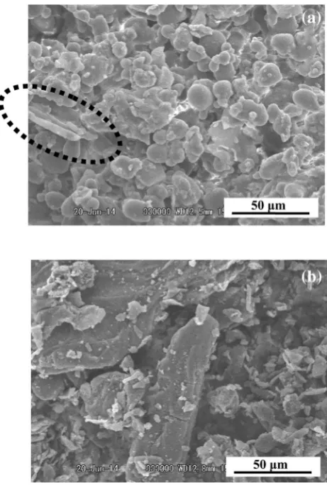 Fig. 2 Scanning electron micrographs of ground horse chestnut seed(9700). Acceleration Voltage: 20 kV