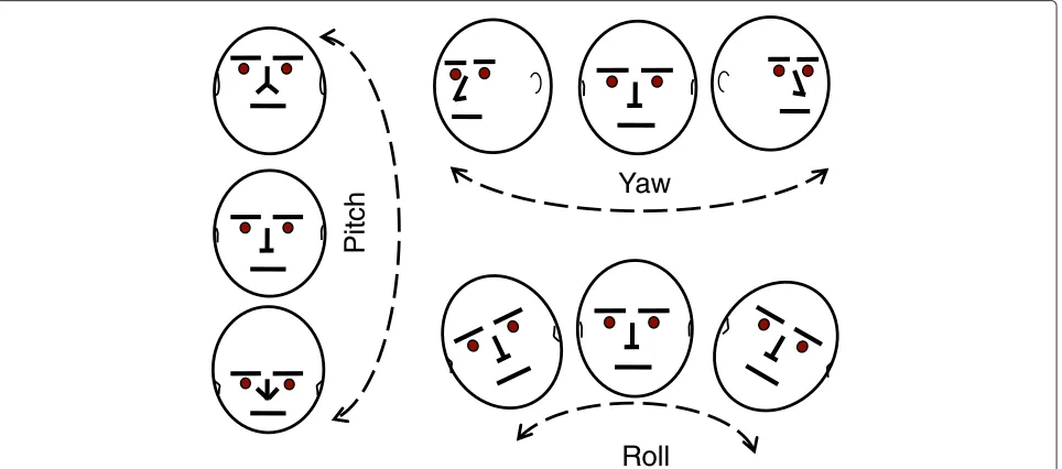 Fig. 1 Head pose representation using three degrees of freedom