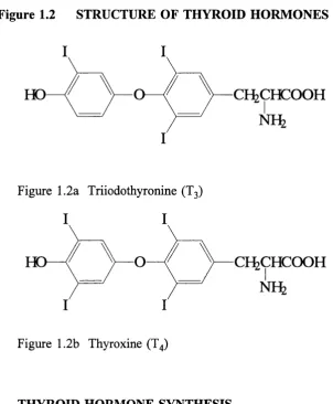 Figure 1.2 STRUCTURE OF THYROID HORMONES