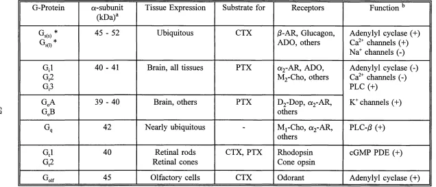 Table 1.1 SUMMARY OF G-PROTEIN PROPERTIES