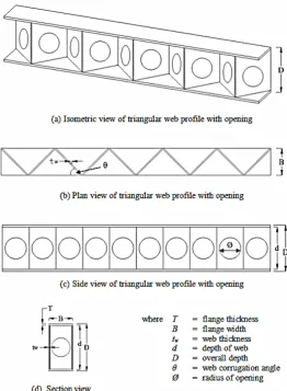 Figure 1: Shape and dimensions of a typical TriWP with opening (all units are in mm)  