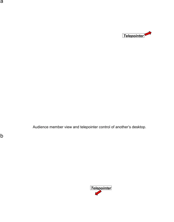 Fig. 4. A remote pointing session.