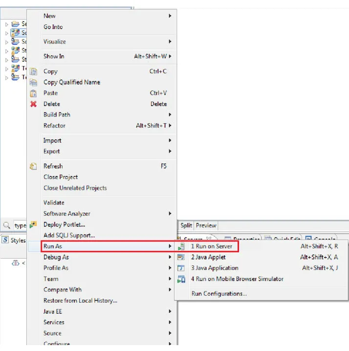 Figure 8: Run On Server option 