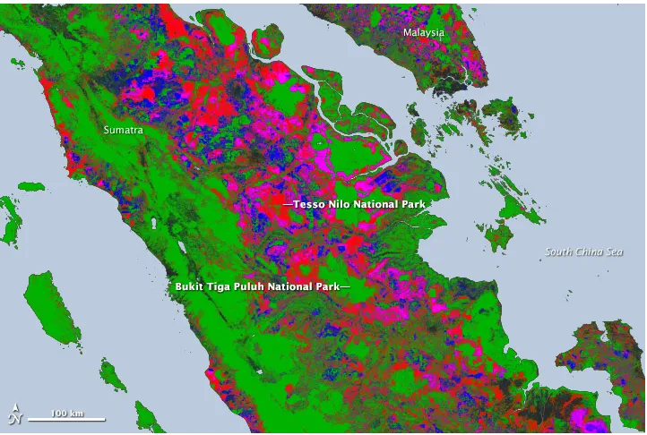Figure 1.4: Village Boundaries (Statistics Indonesia, 2013)