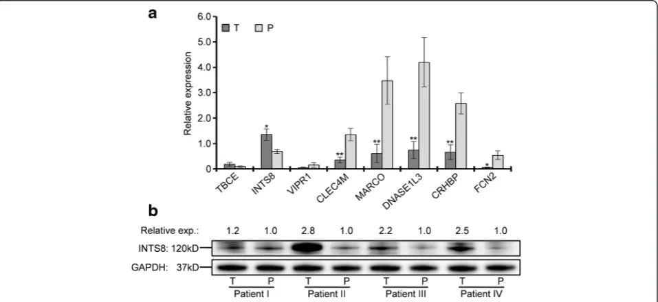 Fig. 2 Measurement of gene expression at mRNA and protein level. a mRNA expression of genes in 11 tissues of HCC patients compared withmatched paracancerous tissue