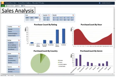 Fig. 2. Example of a PowerPivot report in SQL Server 2012 8