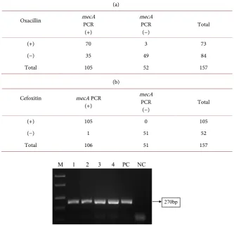 Table 3. Antibiotic Susceptibility Testing. (a) Oxacillin vs mecA-PCR (n = 157); (b) Cefoxitin vs mecA-PCR (n = 157)