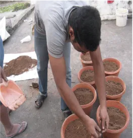 Table No:1 Garlic Seed Samples. 