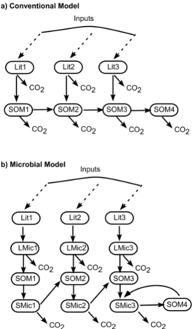 Fig. 1. Diagram of soil C models. (a) Conventional model and(b) microbial model. Lit, SOM, and Mic stand for C pools for litter,soil organic, and microbial biomass, respectively