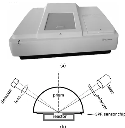 Figure 3. The assembly dynamics of 5mM mercaptopropi-onic acid in ethanol absorbed on the gold chip (a), mor-phine detection on the fixed angle model (b), polyaniline characterization at different scan rate (c)