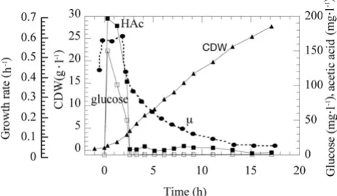 Figure 1E.coli squares: glucose accumulation (mg, lTime course of the fed-batch cultivation with W 3110Time course of the fed-batch cultivation with E.coli W 3110