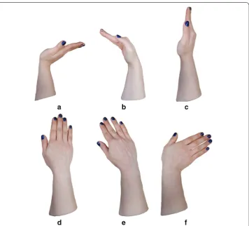 Fig. 6 Snap shots of wrist positions. a Extension, b Flexion, c Neutral, d Pronation, e Radial deviation, f Ulnar deviation
