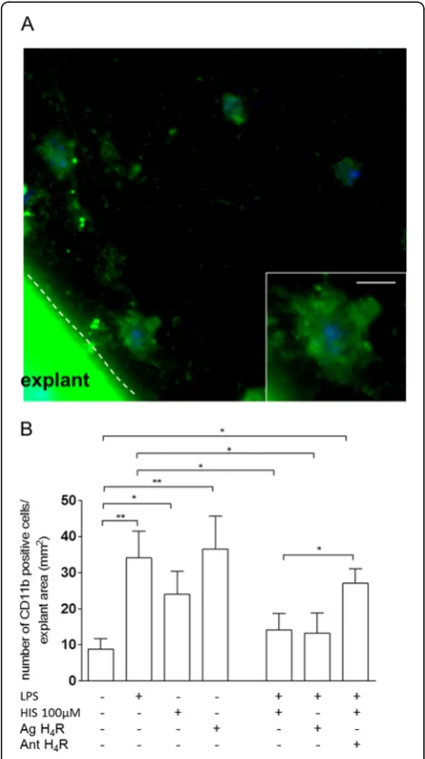 Figure 6 Histamine promotes microglia/CNS macrophagemigration via H4 receptor activation in cortex explants