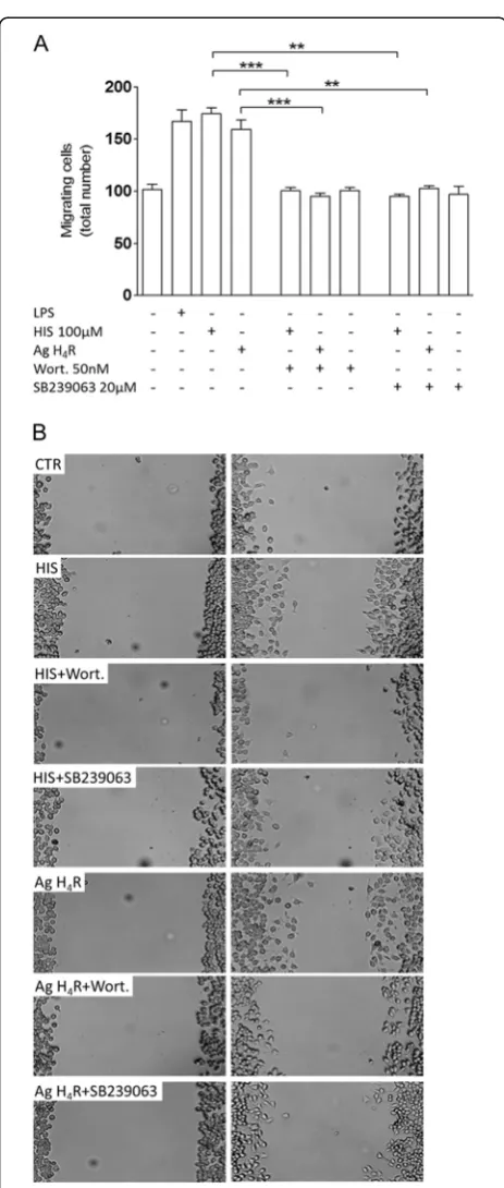 Figure 4 Histamine-induced migration requires p38 and Aktmigrating across the scratch wound (**and Hmigration induced by p38 and Akt signaling blockade