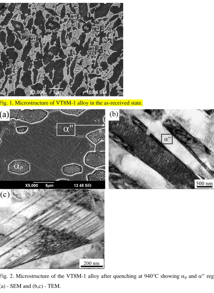 Fig. 1. Microstructure of VT8M-1 alloy in the as-received state.  