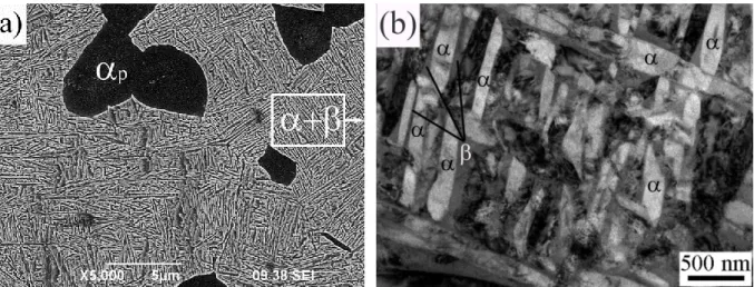 Fig.  3.  Globular-lamellar  structure  of  the  VT8M-1  alloy  after  heat  treatment  at  700°C  for  1  hour  using (a) - SEM and (b) - TEM
