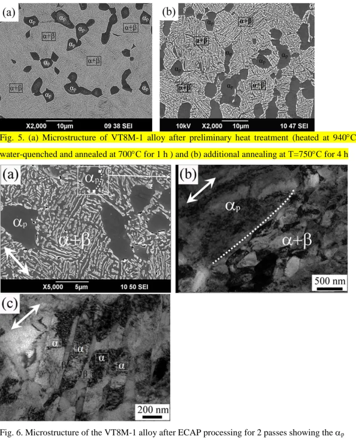 Fig.  5.  (a)  Microstructure  of  VT8M-1  alloy  after  preliminary  heat  treatment  (heated  at  940С,  water-quenched and annealed at 700С for 1 h ) and (b) additional annealing at Т=750С for 4 h 
