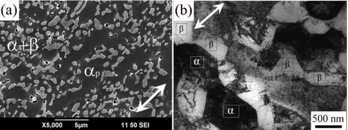 Fig. 8. Microstructure of the VT8M-1 alloy after ECAP processing for 6 passes: (а) - SEM  and (b) - TEM