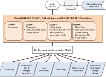 Fig. 1. Schematic of the Multi-Scale Synthesis and Terrestrial Model Intercomparison Project (MsTMIP) framework