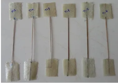 Figure 2: Specimens for tensile test of MCL fiber  