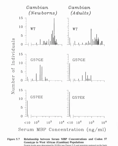 Figure 5.7 Relationship between Serum MBP Concentrations and Codon 57 