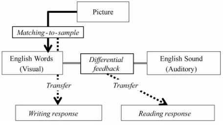 Figure 1. Sequence of events in a trial for MTS and CRMTS training procedures. 