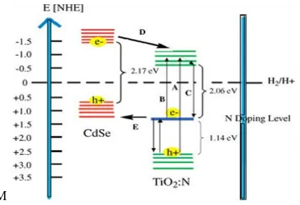 Fig. 2 Diagrammatic representation of electronic band structure of 3.5 nm CdSe with bandgap of 2.17 eV and nanocrystalline TiO2:N  having bandgap of 3.2 eV, in association with TiO2 and a N dopant state of about 1.14 eV above the valence band