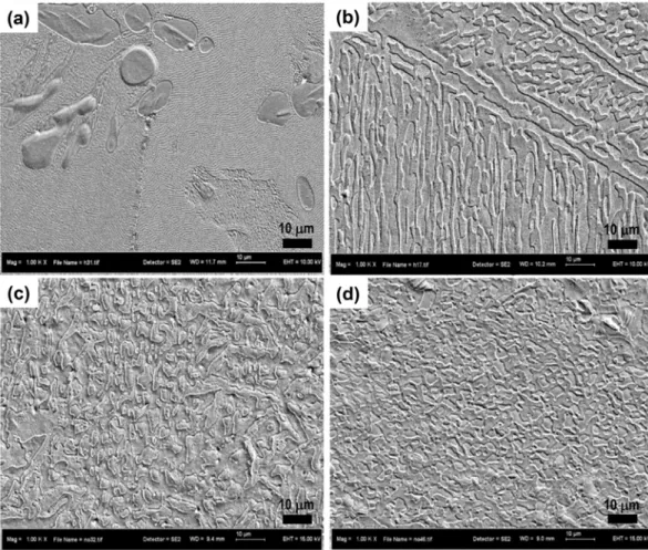 Fig. 1 shows microstructure of the as cast, homogenized and ECAP samples of Zn-3Mg alloy