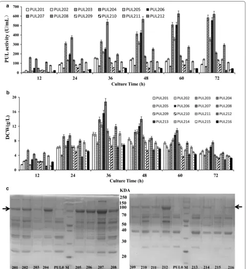 Fig. 3 Extracellular PUL expression driven by the dual-promoter systems in ATCC6051∆10