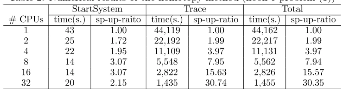 Table 2: Numerical results of the homotopy method (noon-9 problem (3))