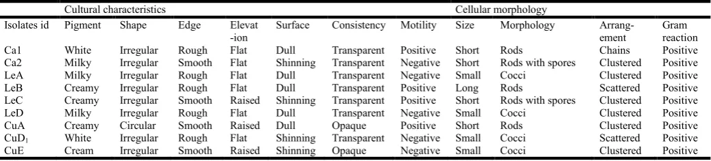 Table 1. Cultural Characteristics and Cellular Morphology of Gram Positive Bacterial Isolates from Cabbage, Lettuce and Cucumber  