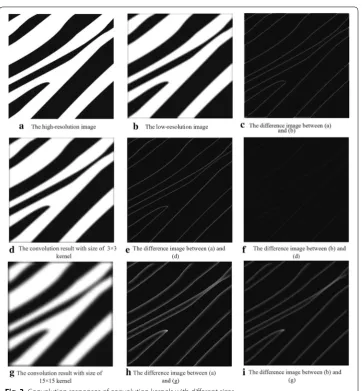 Fig. 3 Convolution responses of convolution kernels with different sizes