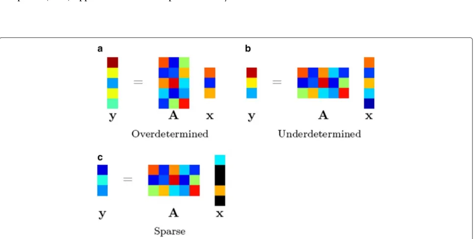 Fig. 1 Stylized visualization of three examples of linear equation systems. A and y represent the design matrix and observations, respectively; x isthe unknown signal to be recovered