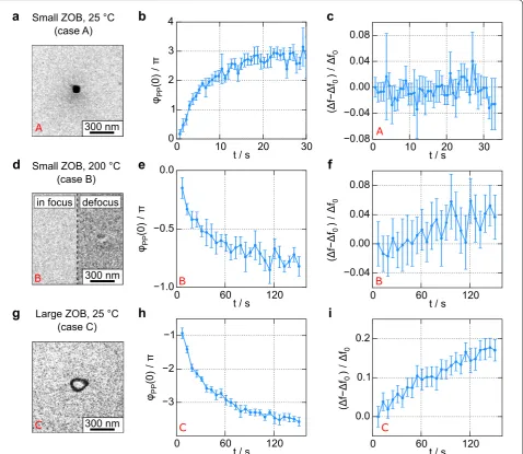 Fig. 1 TEM images of the patch on the HFPP film, phase shift evolution, and defocus change with respect to the initial defocus film