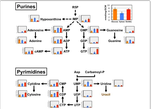 Table 3 Selected genes for qRT-PCR in this study