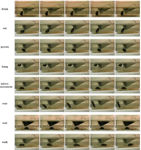 Figure 1. Example scenes of mouse’s bahaviors. 