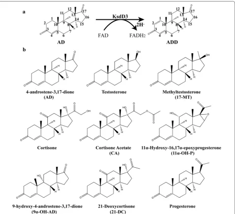 Fig. 1 a KsdD3 catalyzes the dehydrogenation at C1,2‑position of steroidal substrates