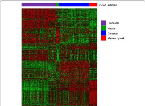 Table 1 Molecular pathology features of DNA methylation,RNAseq and protein expression samples