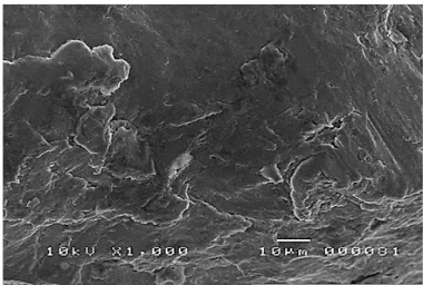 Fig. 3.4. 1000x magnification of the surface of the pelletized magnesium powder