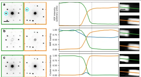 Fig. 4 SPED data from a GaAs nanowire with a twin boundary at an oblique angle to the beam