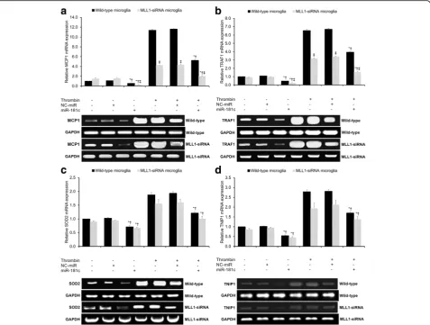 Fig. 5 Assessment of NF-κB target gene expression by qRT-PCR. qRT-PCR assessing relative mRNA expression of a MCP1, b TRAF1, c SOD2, and dTNIP1 under the various experimental conditions