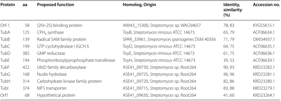 Table 1 Deduced functions of the open reading frames in the tub gene cluster