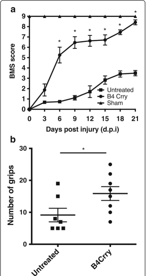 Fig. 5 Neoepitope-targeted complement inhibition with B4-Crryimproves functional outcome after SCI