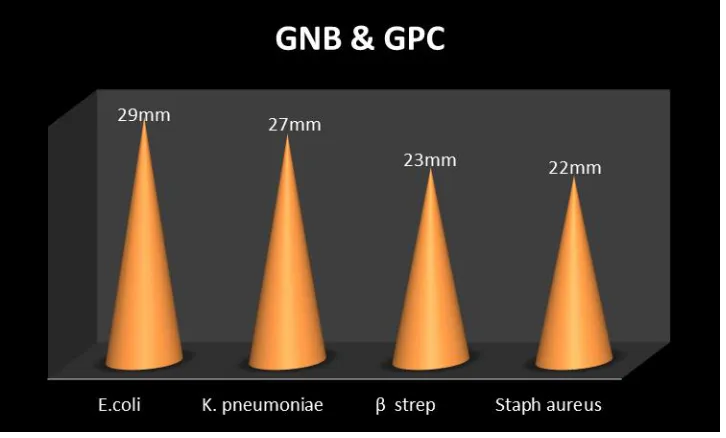 Figure 4: Antibacterial activity of red wine showing sensitivity to GNB  strains  