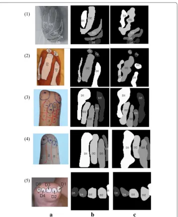 Fig. 1 Reported phantom map image classification examples. Examples of [OVO-SVM and a reported phantom map images 13, 23, 27, 28], b processed and down-sampled phantom maps, and c predicted phantom maps using 2 × 2 majority pooling