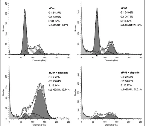 Figure 8 Silencing of mutant p53 cooperates with cisplatin in inducing apoptosis in 5637 cells assessed by flow cytometry